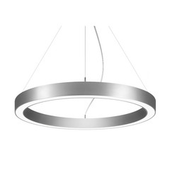 BRUMBERG Biro Circle Ring10 Ø 45 cm ylös/alas DALI CCT hopea