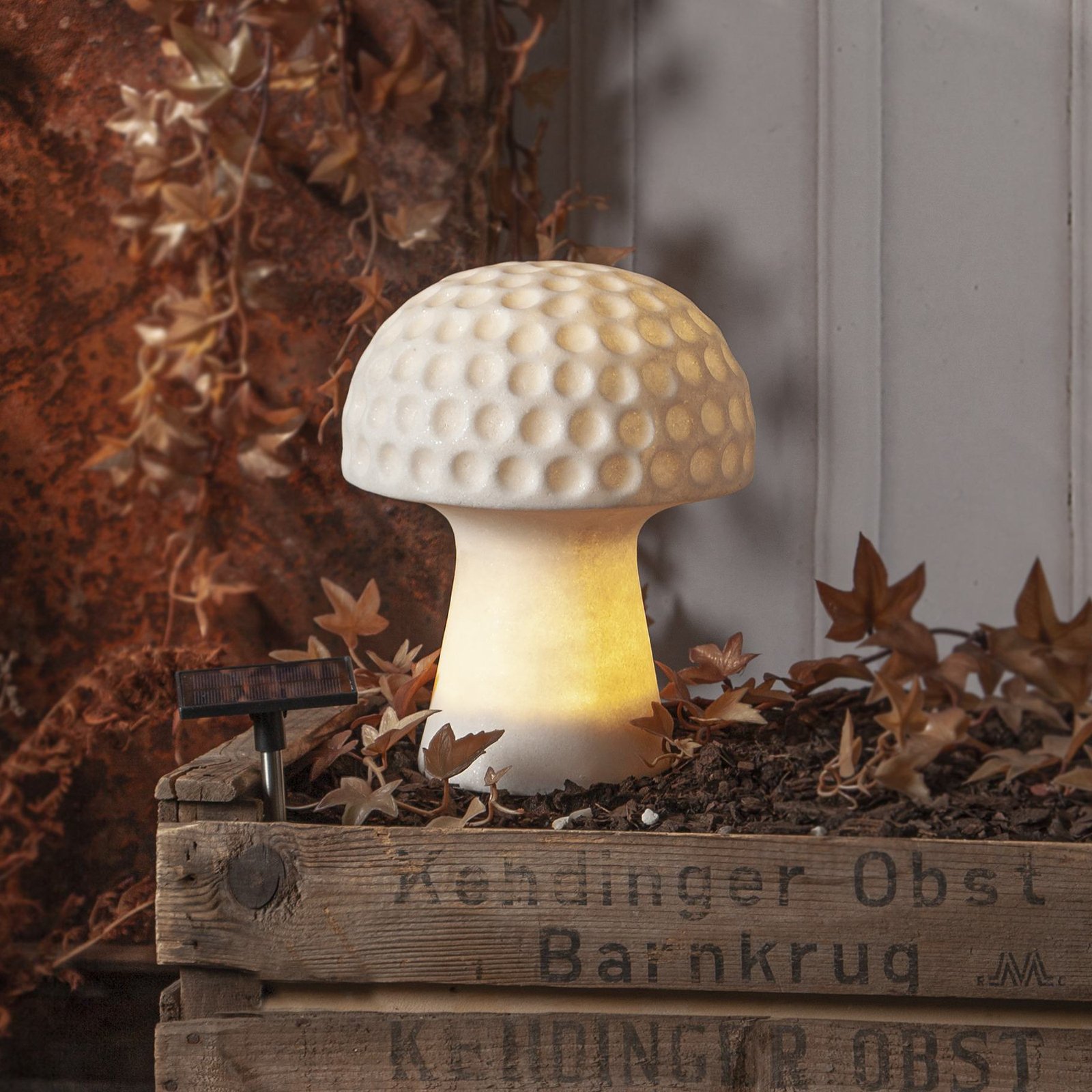 LED solar light Sandy, height 24 cm, white plastic mushroom shape