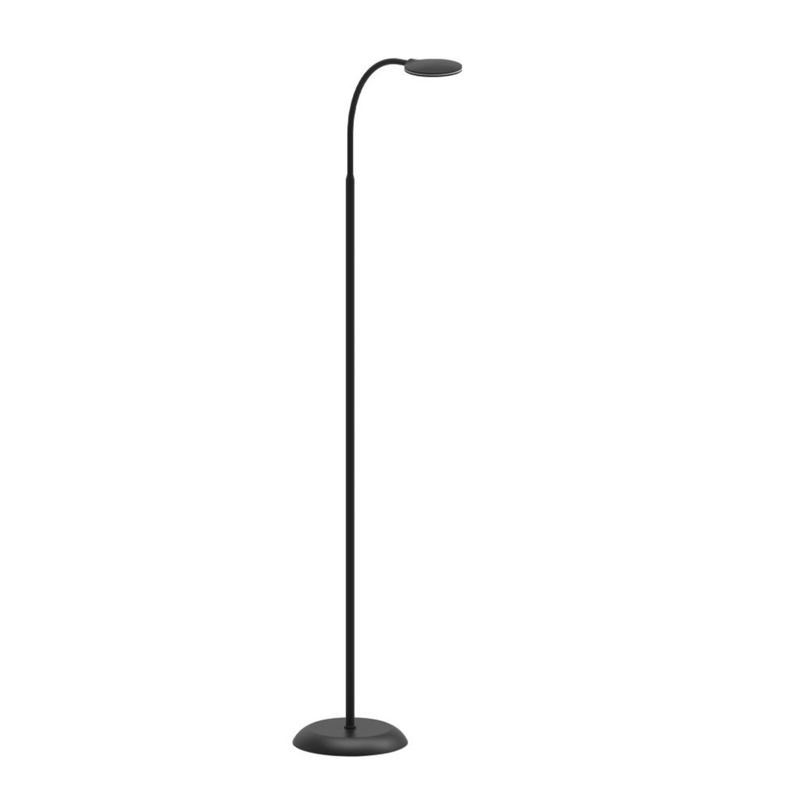 Fix LED Floor Lamp Black - Halo Design