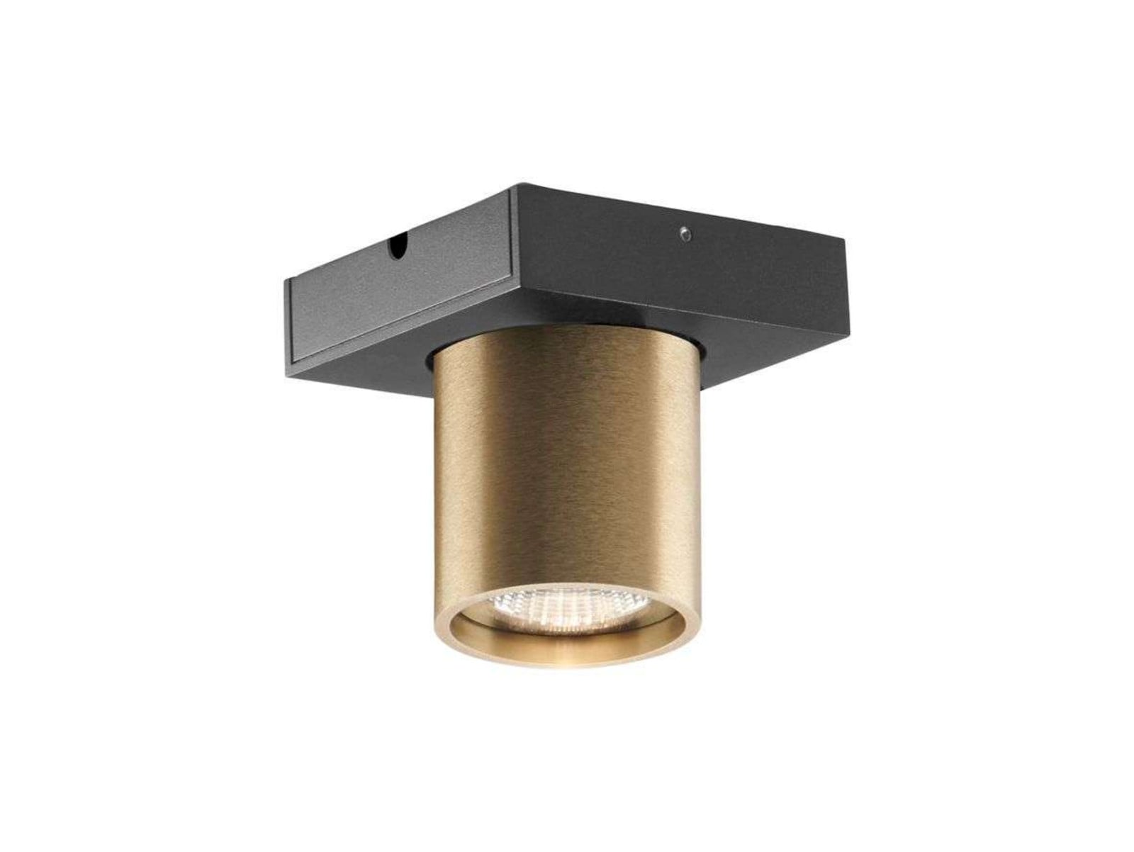 Focus 1 LED Loftlampe 3000K Brass LIGHT-POINT - Stue - Aluminium billede