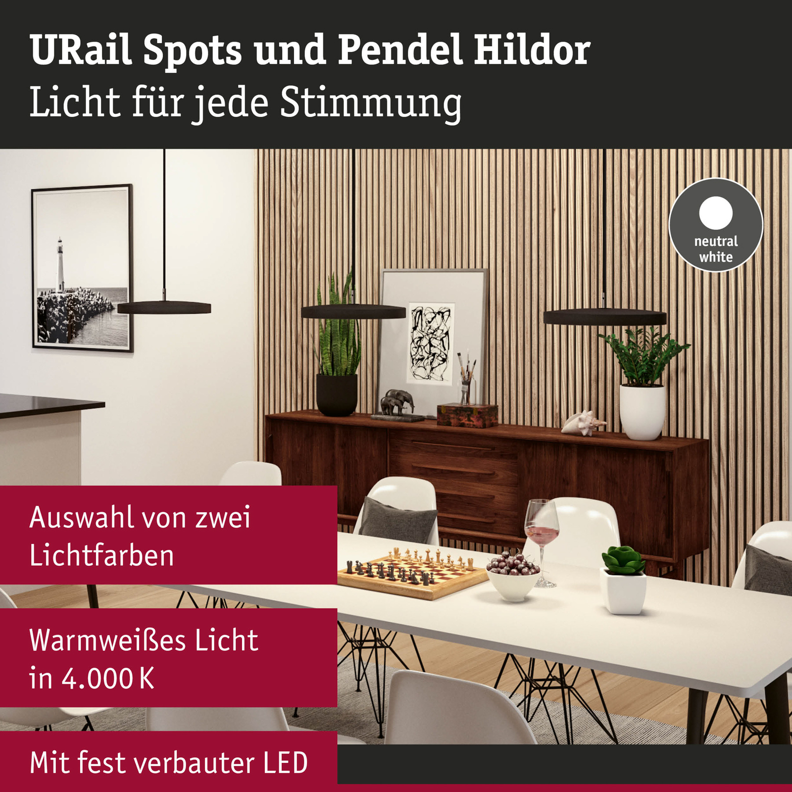 Paulmann URail Hildor LED-pendel svart 4 000 K
