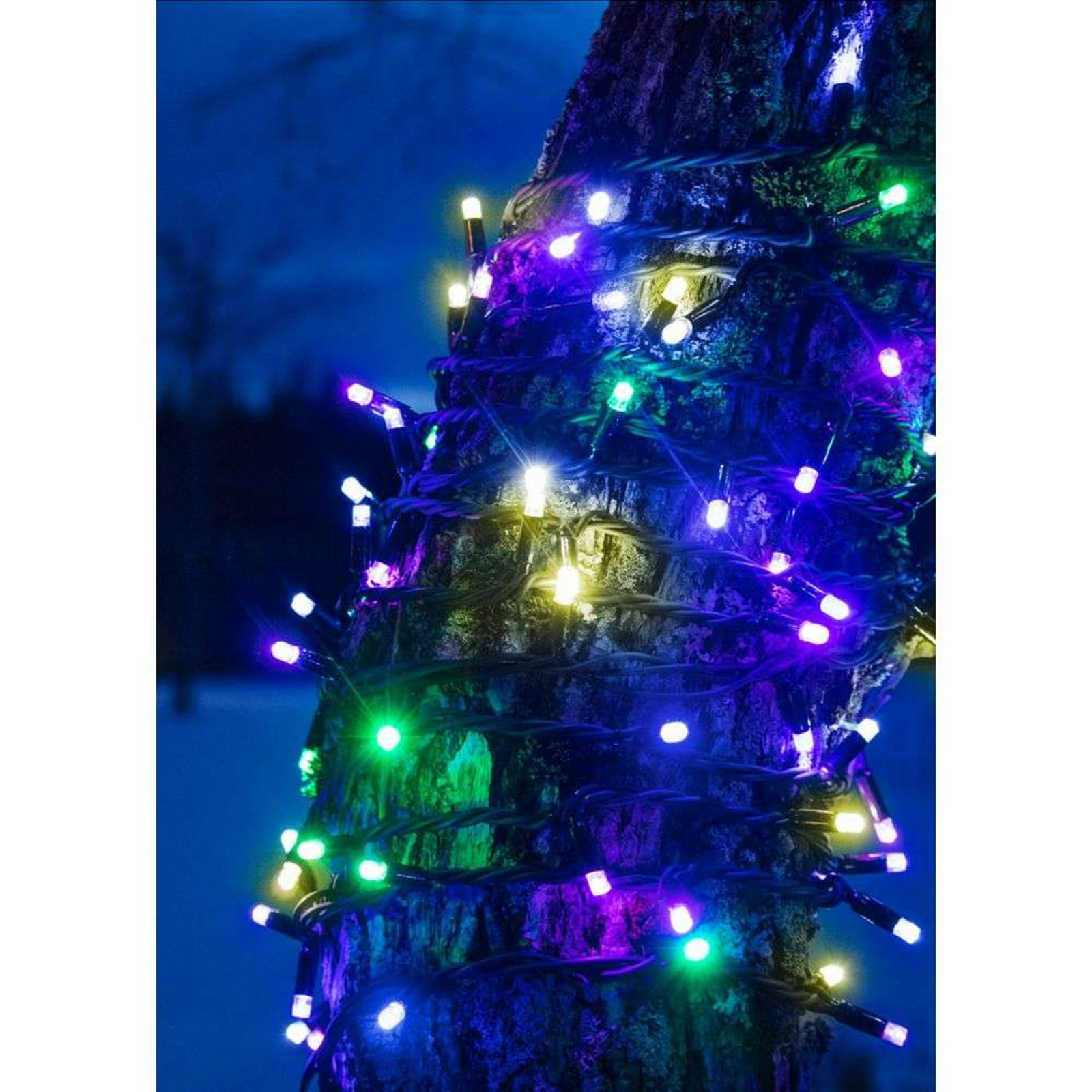 Chrissline String Light 50L Extra Multi - Markslöjd