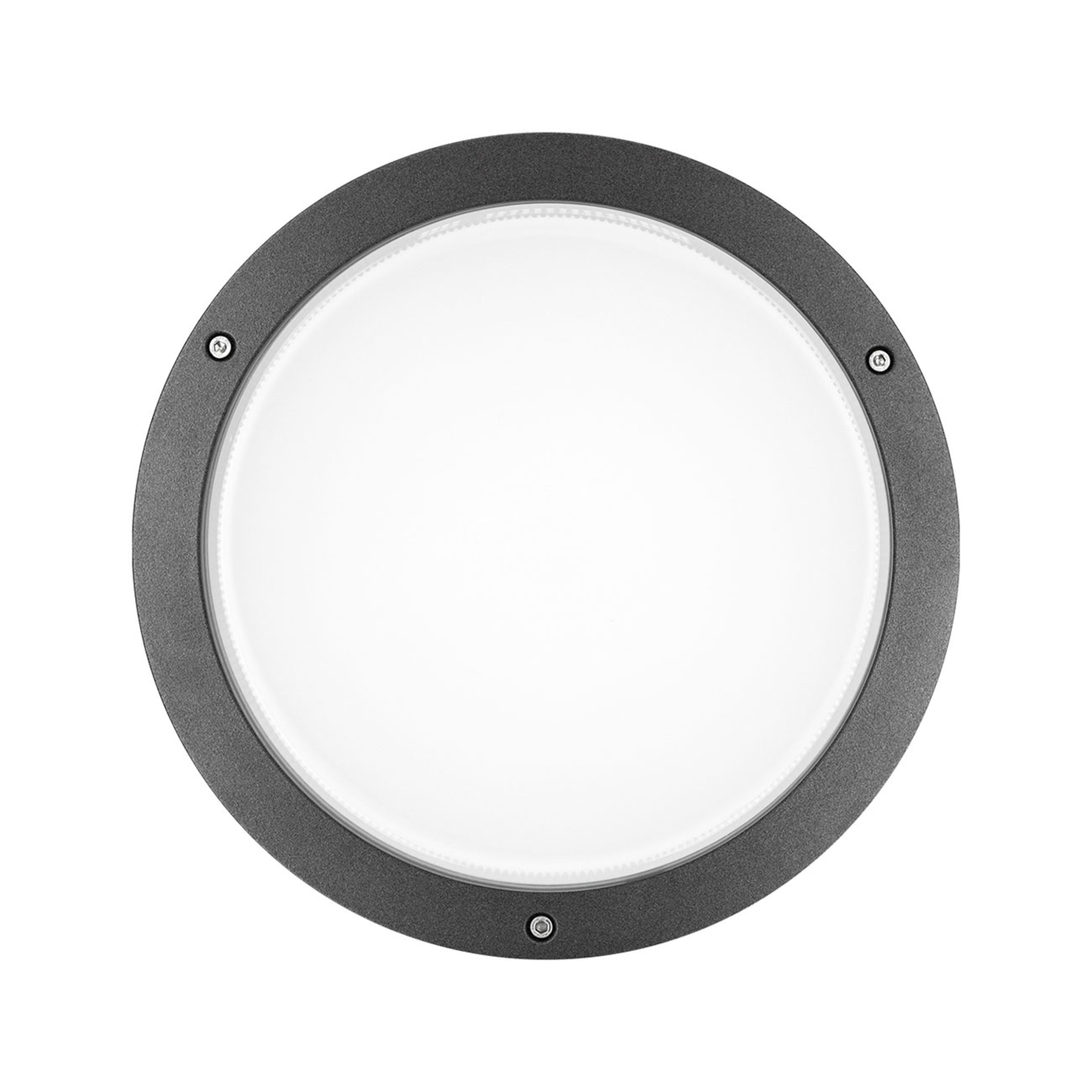Bliz Round 30 LED wall lamp, 30W 3,000K