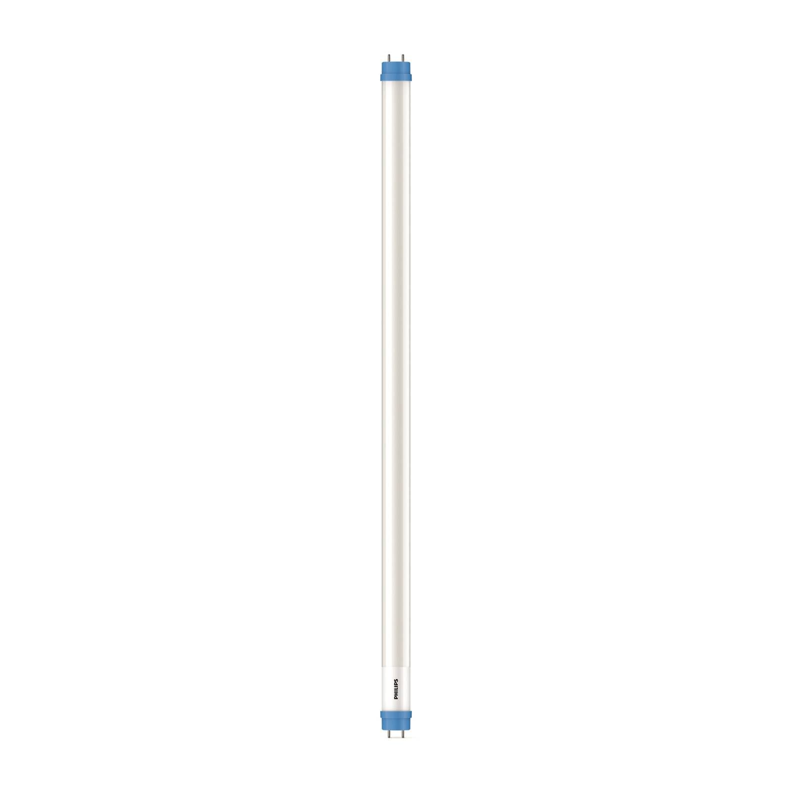 Philips G13 T8 LED-Röhrenlampe 8W 60,3cm 4.000K