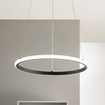 LED viseča svetilka Axis, Ø 60 cm, črna, kovina, CCT