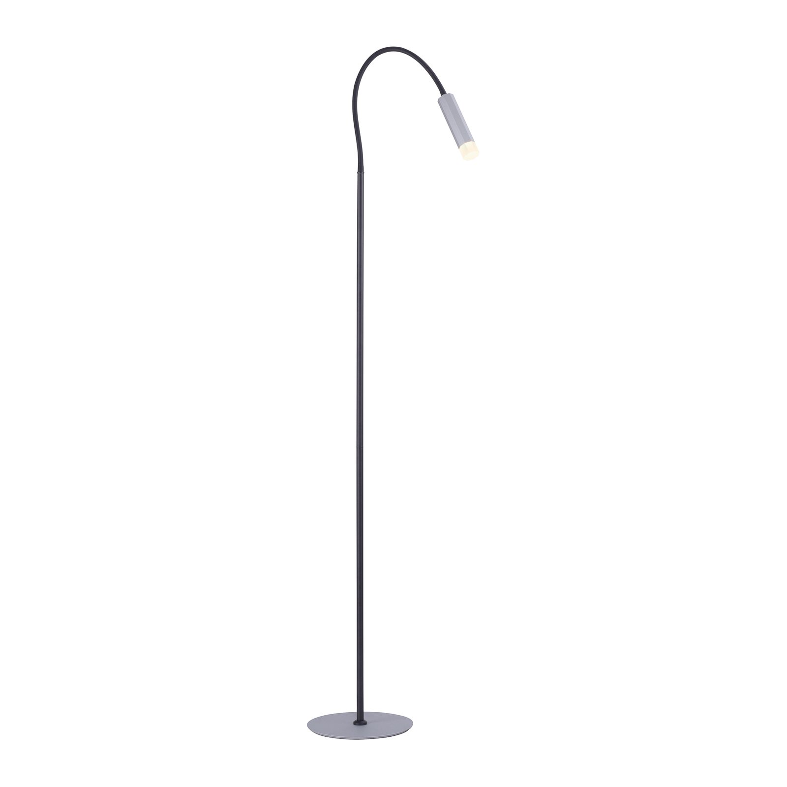 Paul Neuhaus Pure-Gemin LED stojací lampa stříbrná