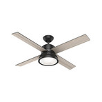 Hunter Loki Deckenventilator mit Licht