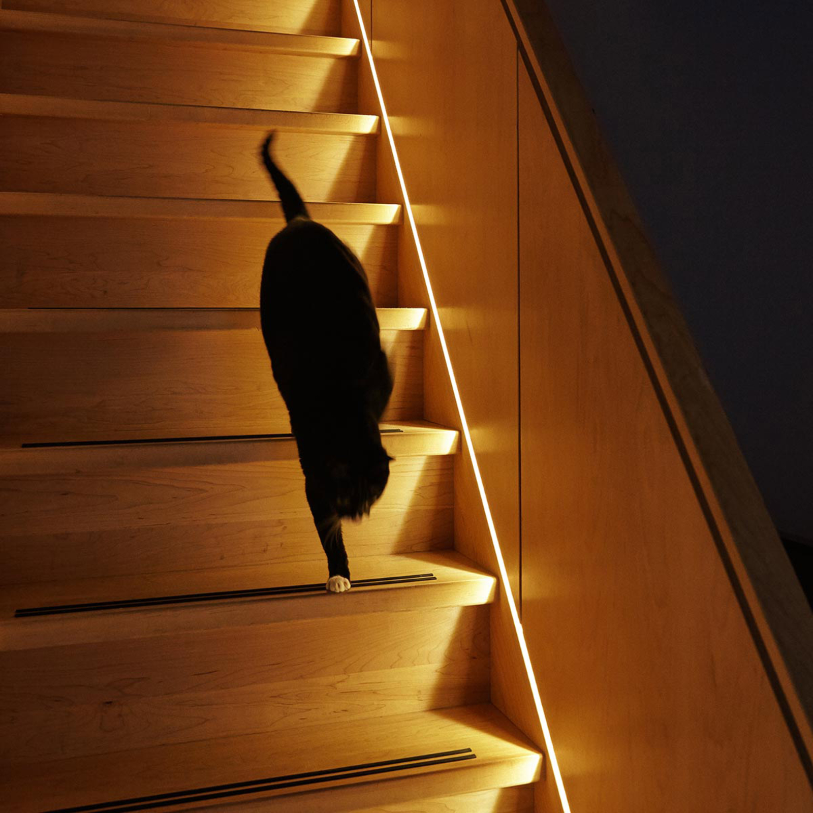 Innr LED-Strip Flex Light RGBW, mit Stecker