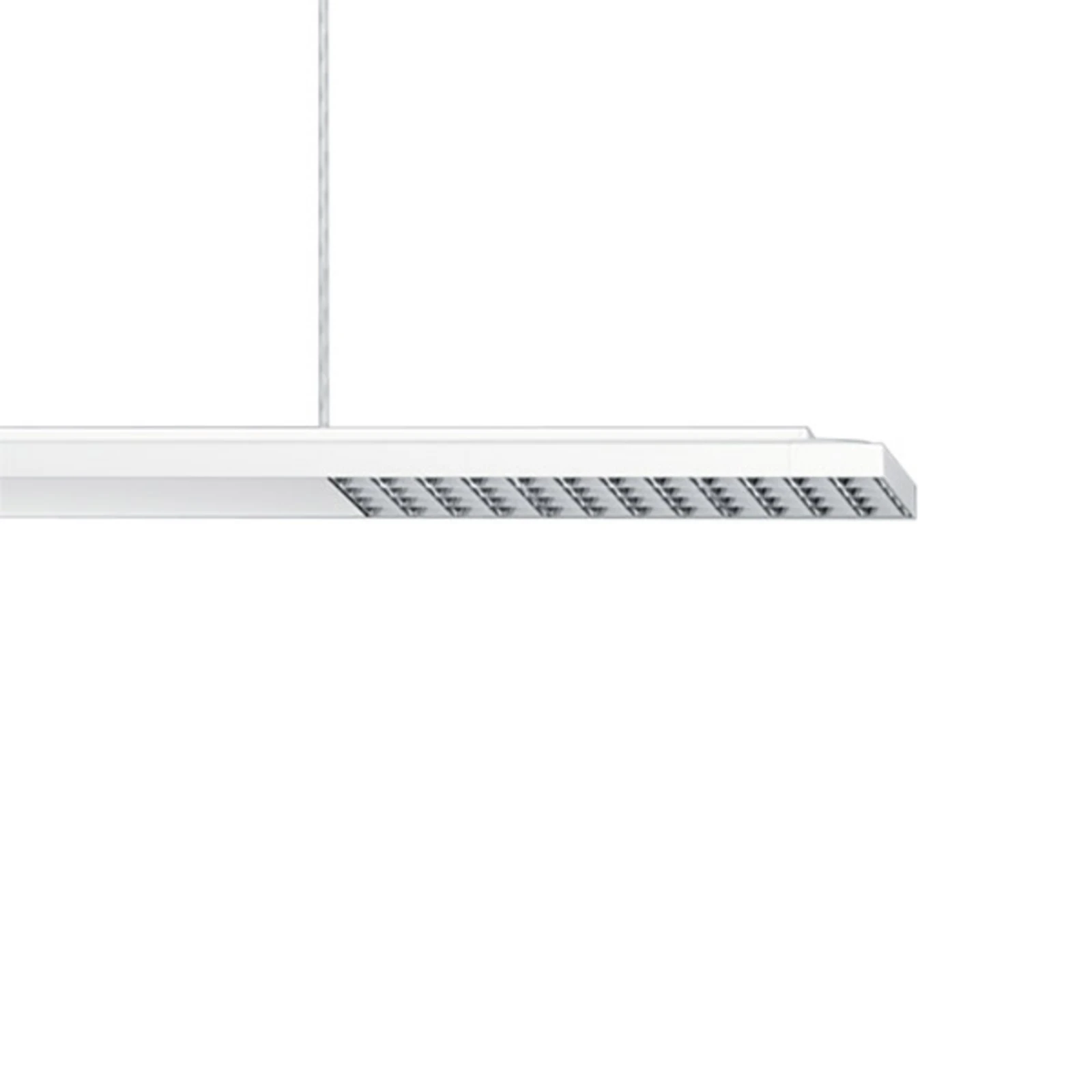ERCO Jilly P DALI up/down ovalwide weiß/silber 830