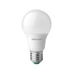 Λαμπτήρας LED E27 9.5W 840, ματ