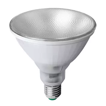Ampoule Led Grow Green Reflecteur lampe horticole 6,5 watts E27 1.300 K  Pousse-plante - Paulmann 28737
