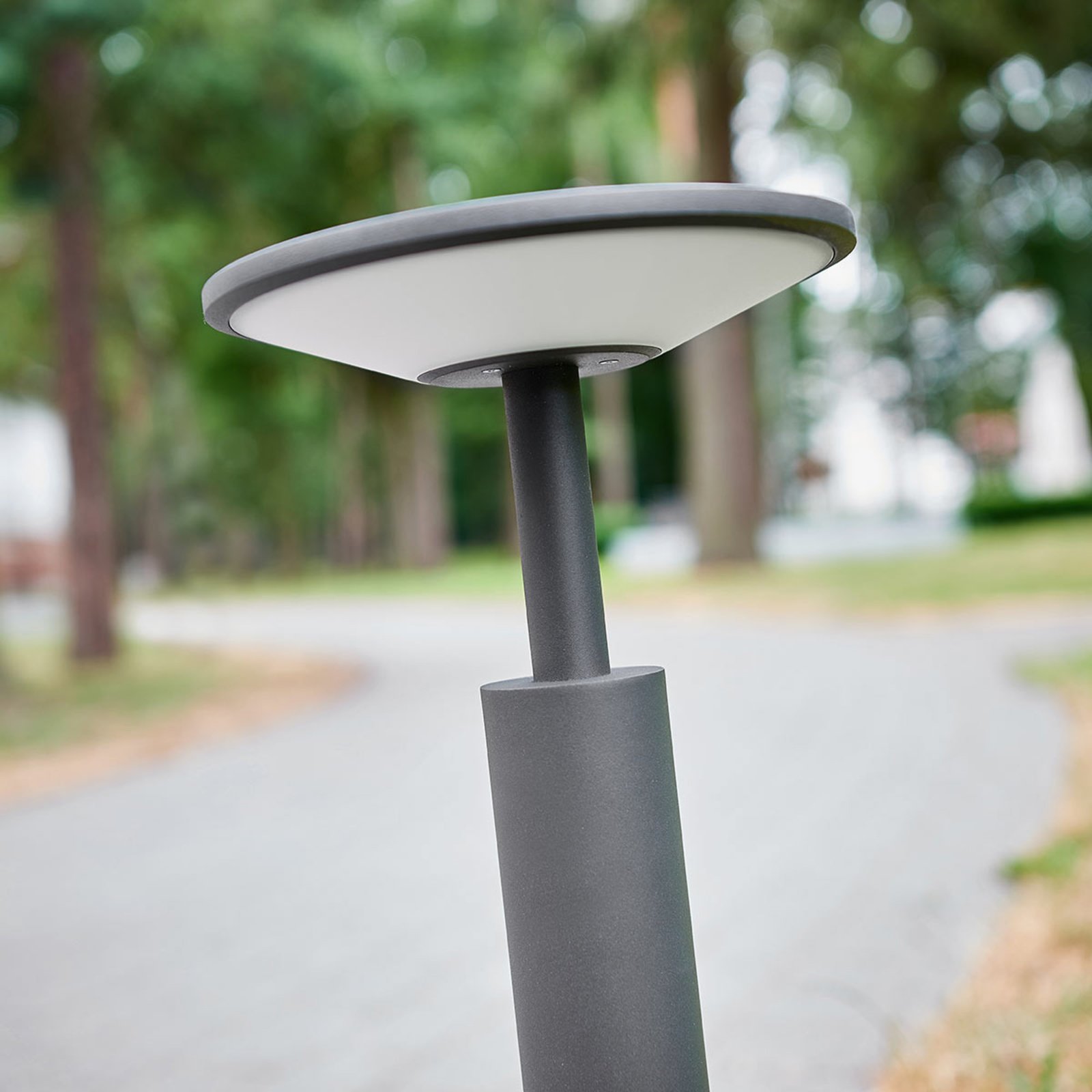 Fenia Buiten Tuinlamp H60 Anthracite/Opal - Lucande