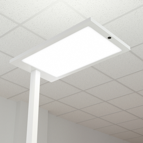 LED-Büro-Stehlampe Almira mit Dimmer, weiß
