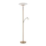 Troy LED floor lamp reading arm, dimmable, gold