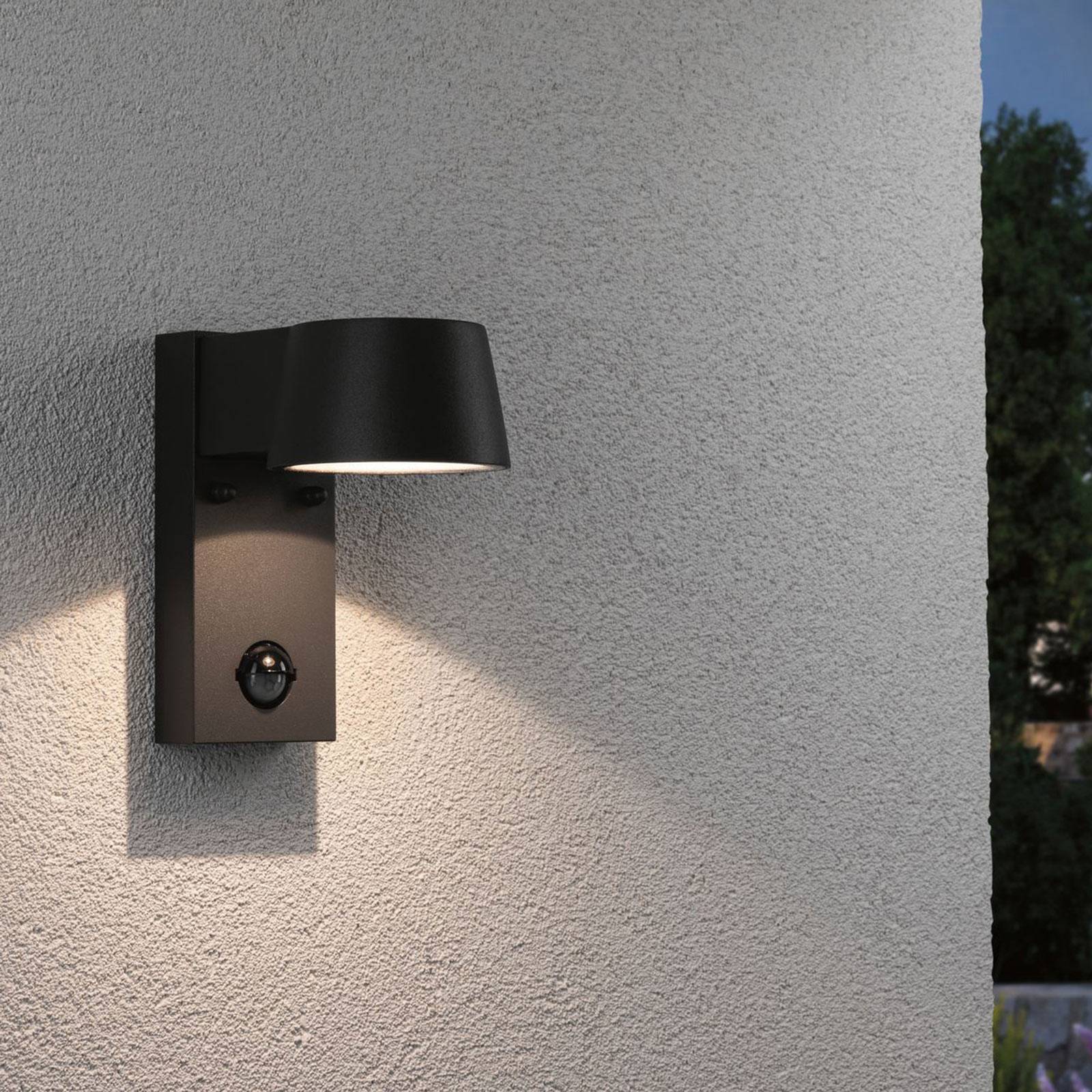 Photos - Chandelier / Lamp Paulmann Capea LED outdoor wall light with sensor 
