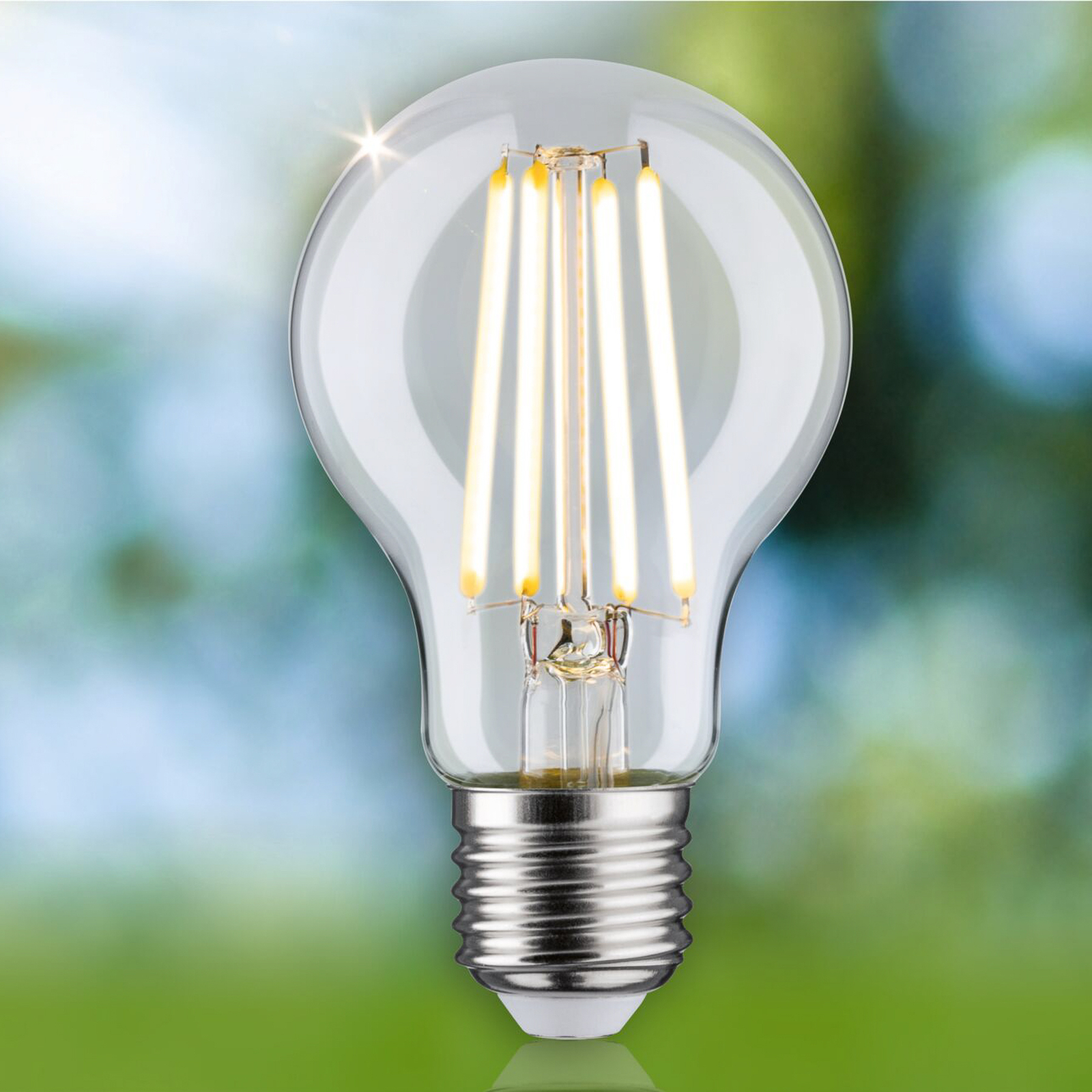 Paulmann Eco-Line LED lamp E27 2,5W 525lm 3.000K