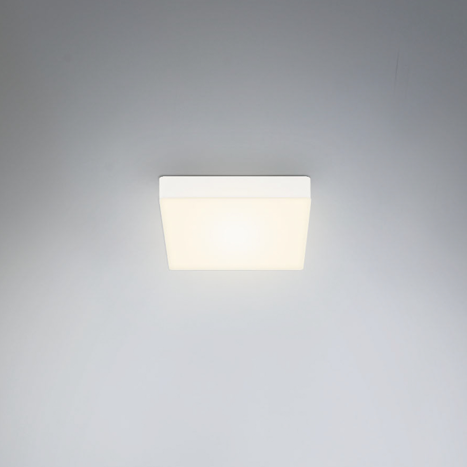 Plafonnier LED Flame, 15,7 x 15,7 cm, blanc