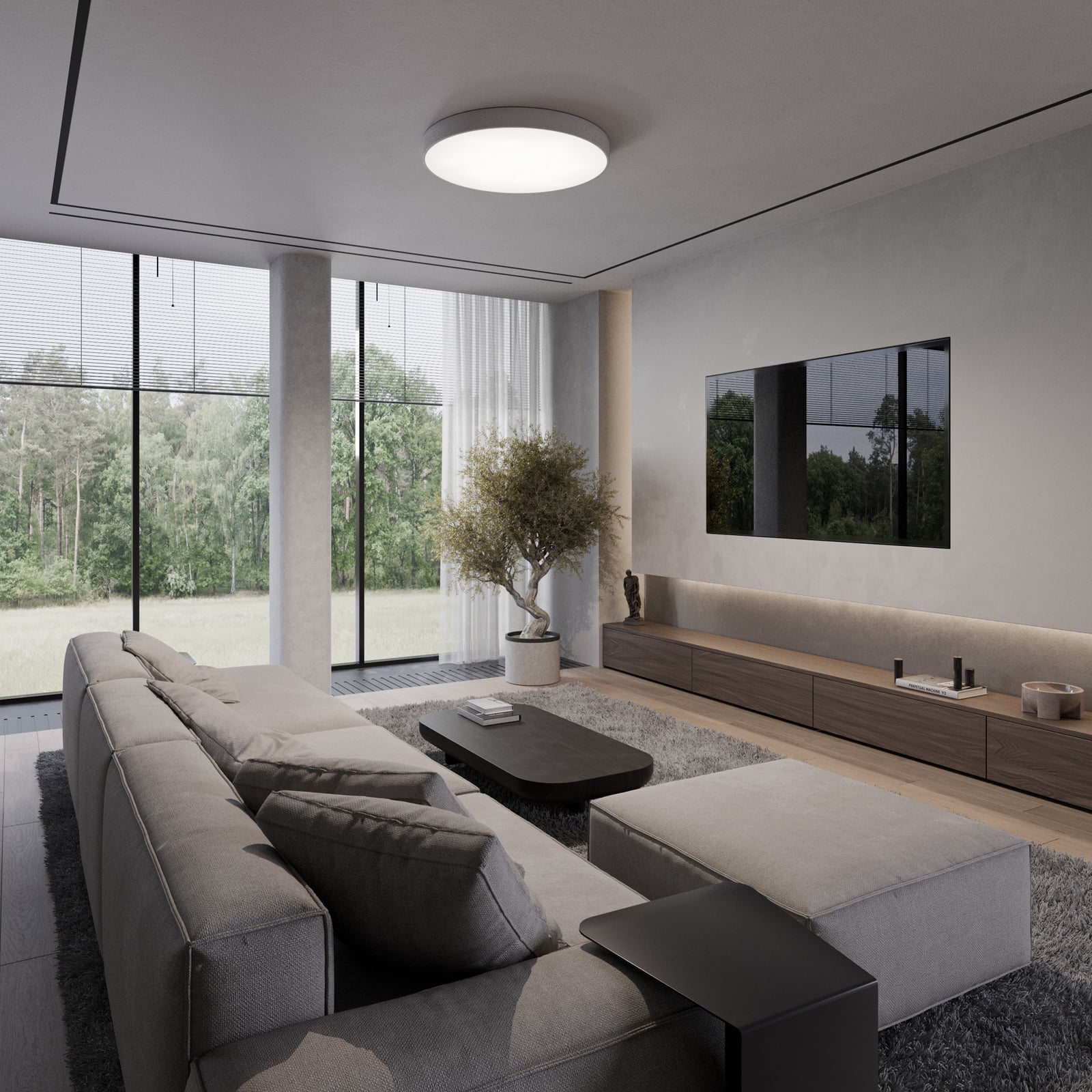 Deckenlampe Cleo 600, grau, Sensor, IP20, Ø 60 cm, Metall