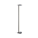 LED стояща лампа Mora, антрацит, височина 178 cm, метал