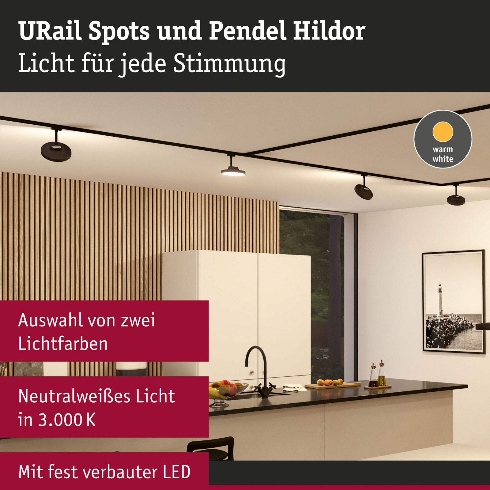 Paulmann URail Hildor LED spot black 3,000 K