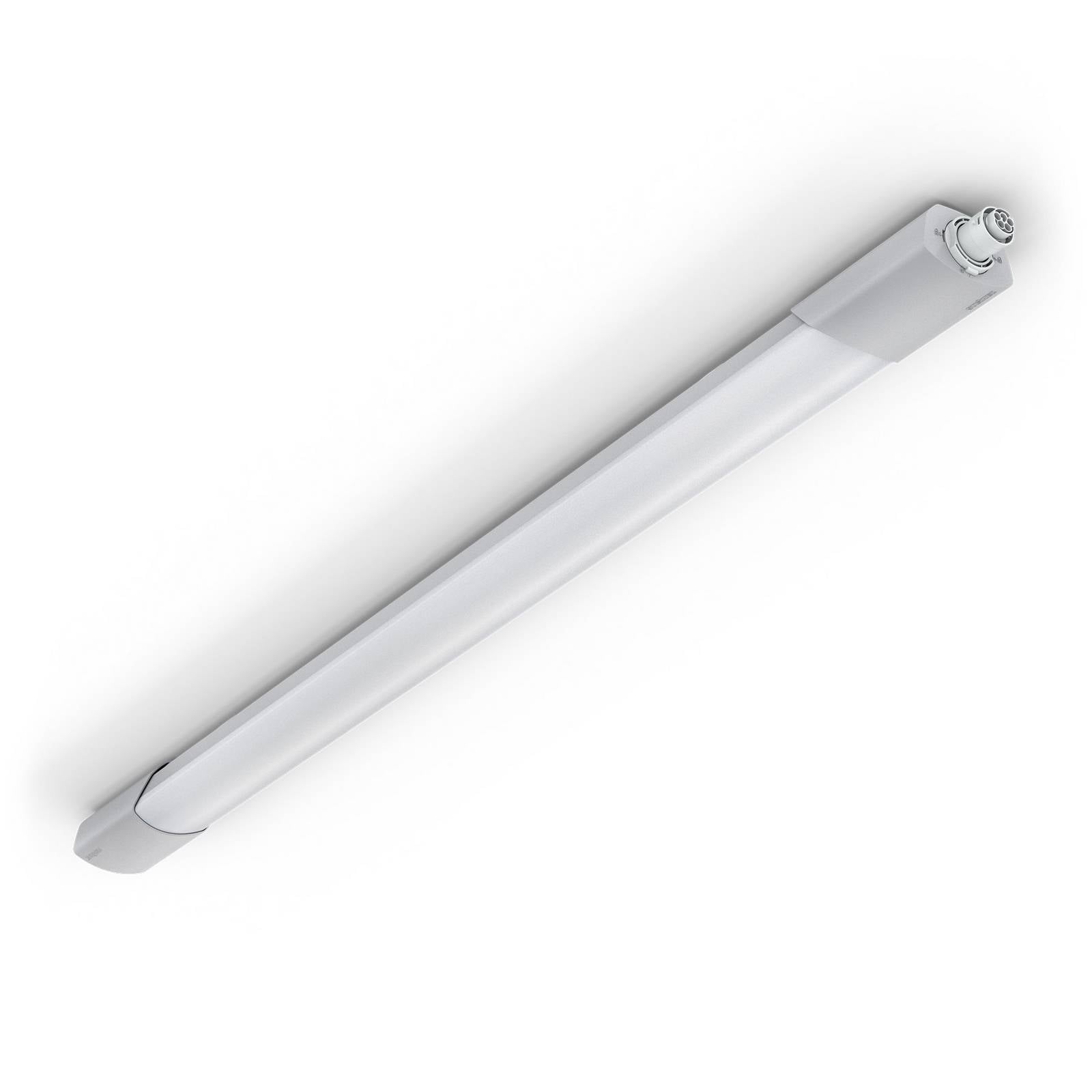 STEINEL RS Pro 5100 SC 5C Anbauleuchte IP65 5 Core