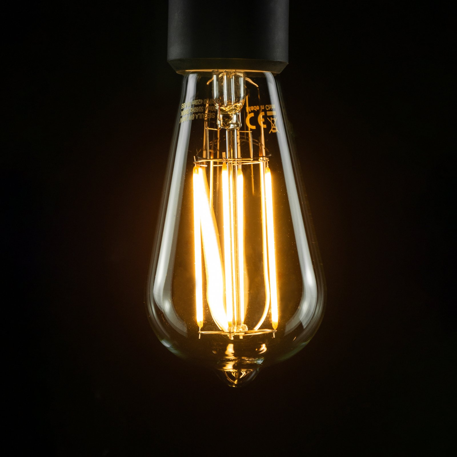 SEGULA LED rustic bulb Long Style E27 6.5 W clear