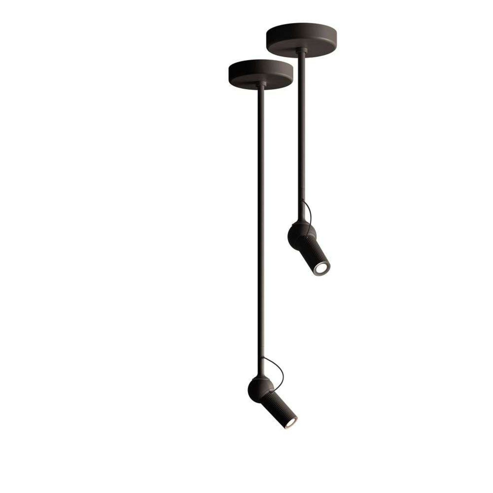 Bird Wall/Ceiling Lamp w/2 Rod H3,5+H20,5 Black - KDLN