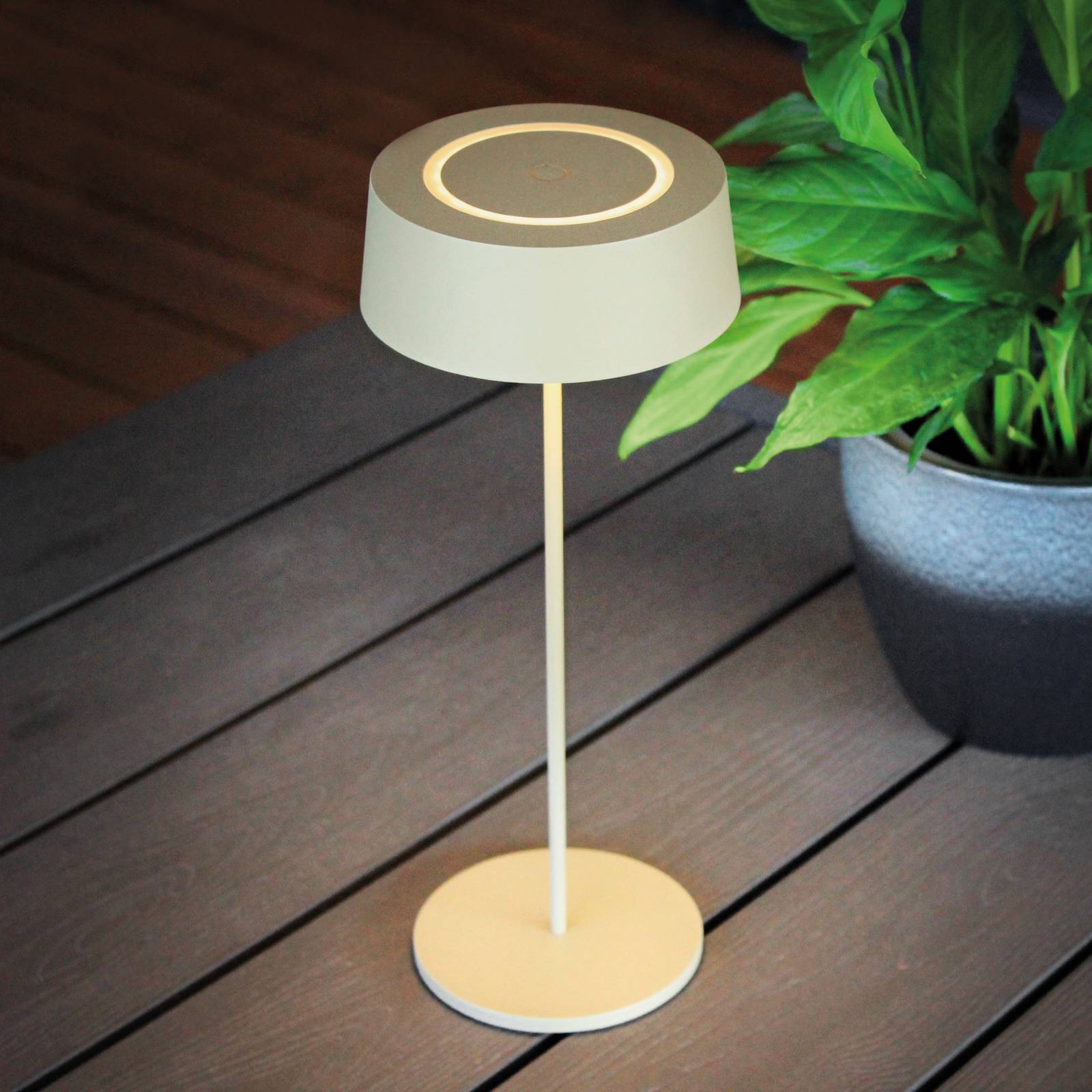 Eco-Light Lampe de table batterie LED Cocktail, dim, dorée