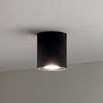 Philips Hue Pillar LED-Downlight, Dimmschalter, schwarz