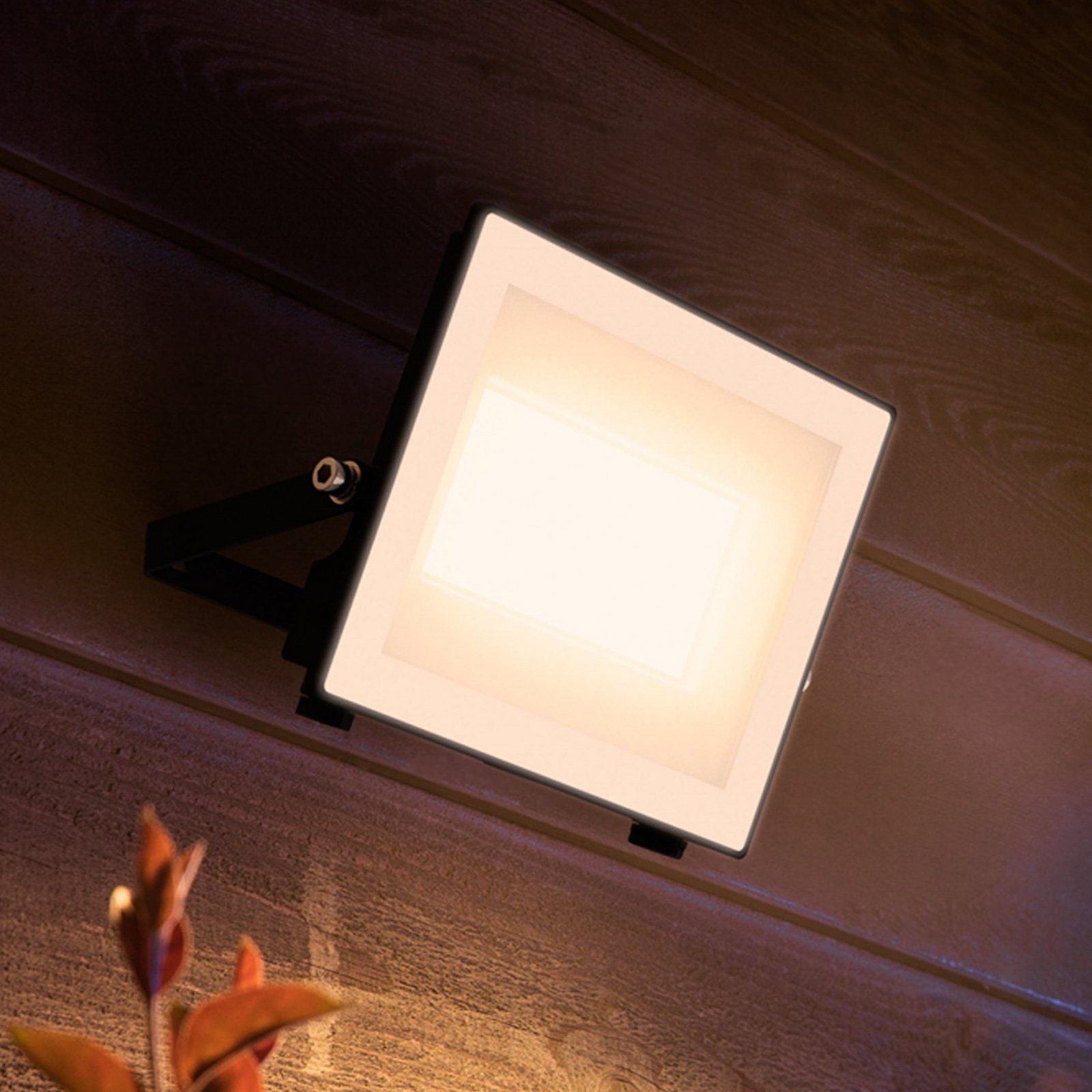 Philips LED-Außenstrahler Lois UE flood, 24 W, 3.000 K, IP65