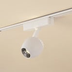 Lindby LED reflektor 48 V Lumaro, bel, Ø6cm, plastika, z možnostjo zatemnitve