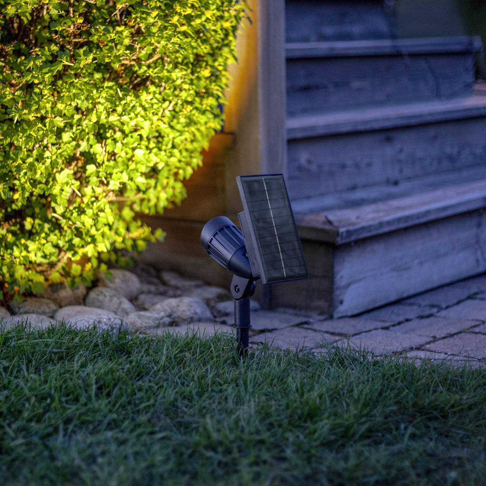 Reflektor solarny spot LED 19 cm RGBW, 80 lm, czarny, z kołkiem do wbijania w