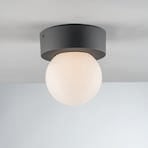 Skittle outdoor ceiling light globe lampshade