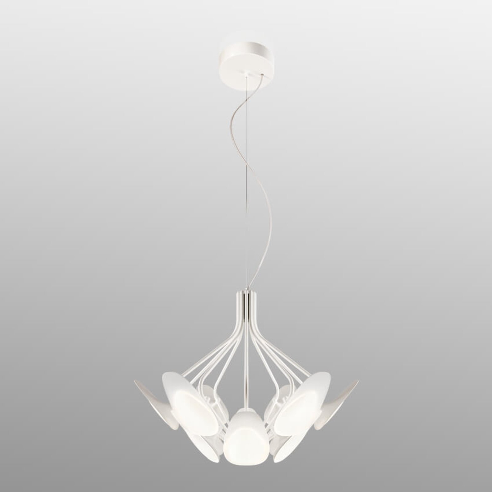 Kundalini Peacock - LED hanging light