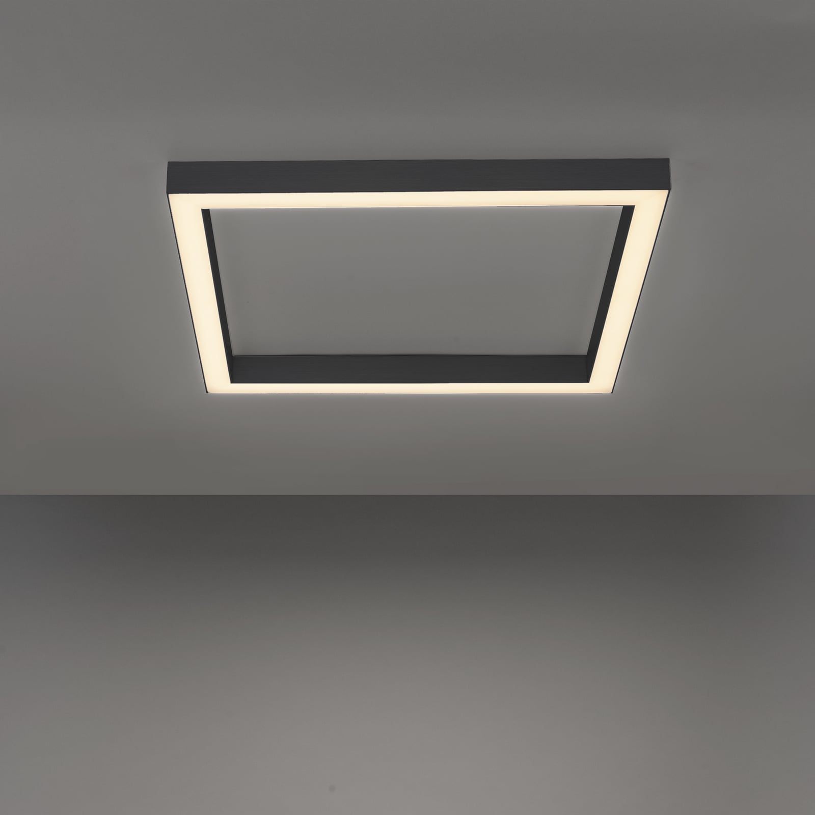 Lines Square LED-Deckenlampe, graphite, 55 cm, CCT - PURE Lines Square LED-Deckenlampe, graphite, 55 cm, CCT - PURE