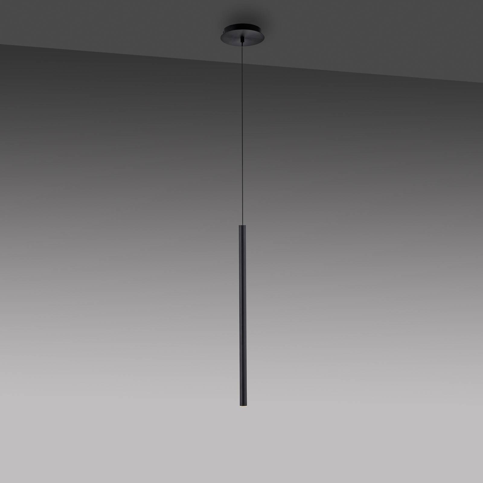 Paul Neuhaus Flute lampa wisząca LED 1-punktowa czarna