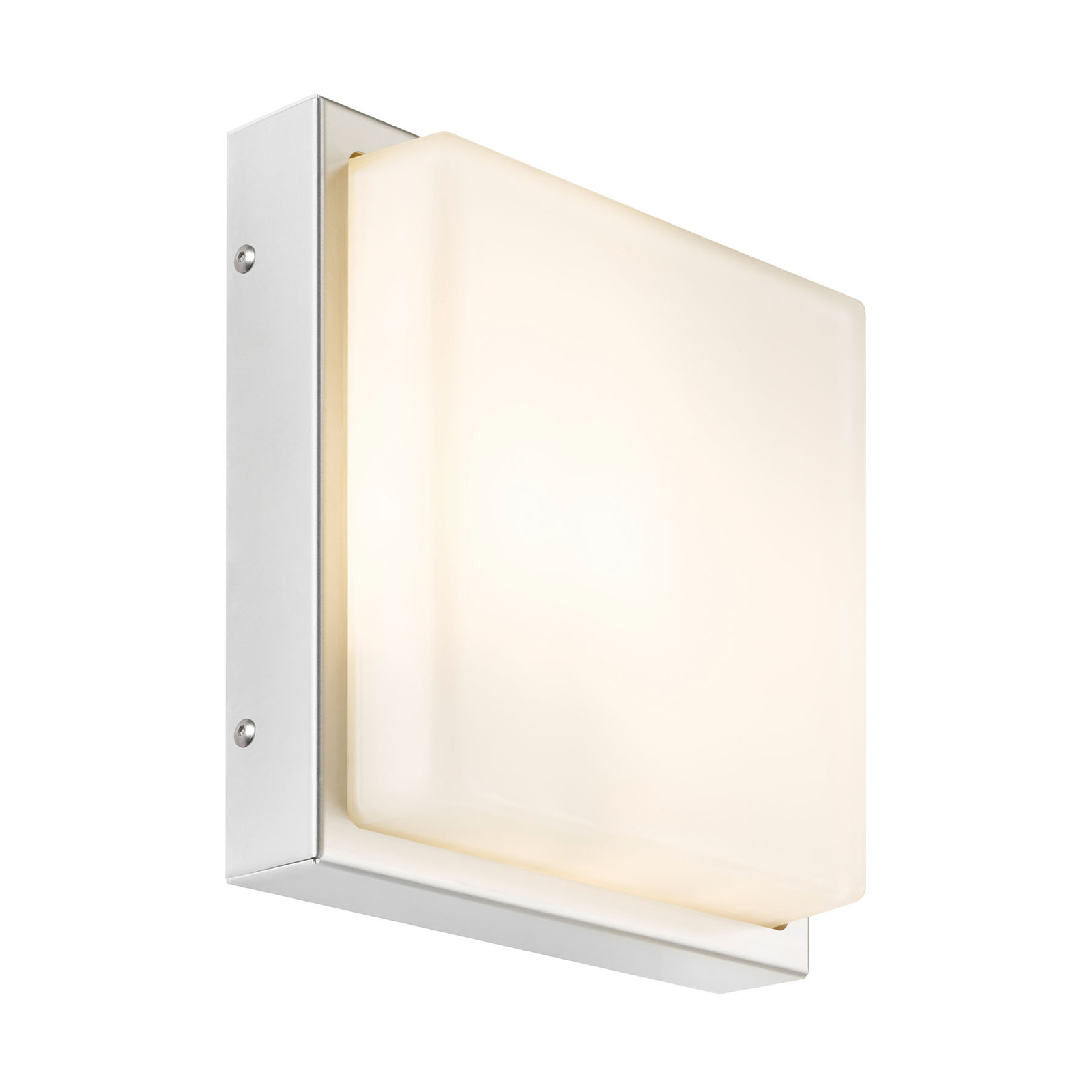 046 LED outdoor wall light, stainless steel