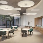 Ribag Vior bold acoustic LED hanging light PhaseDim