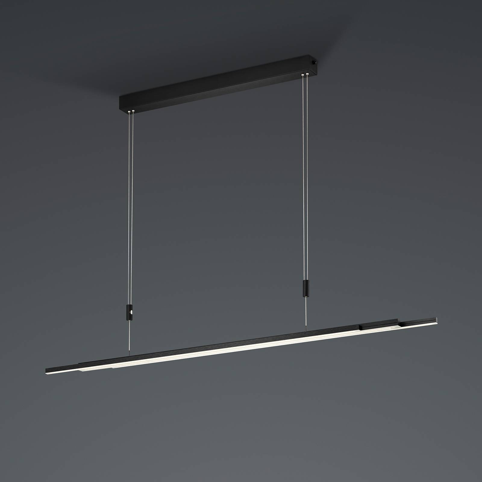 BANKAMP L-lightLINE CCT VerticalDim ZigBee noir