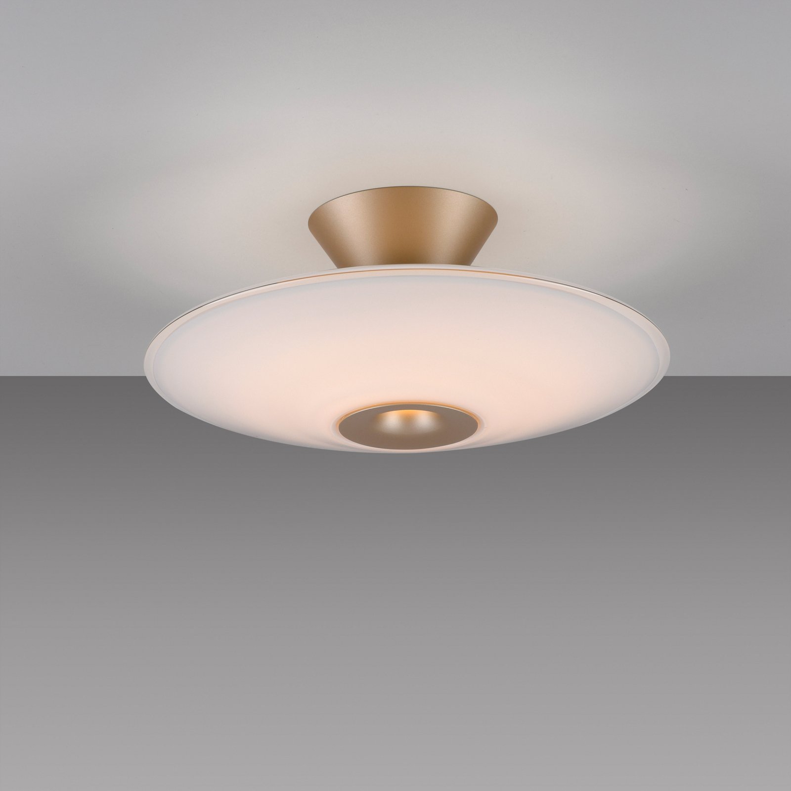 Paul Neuhaus LED-Deckenleuchte Elipsa, weiß/bronze, Ø 35 cm