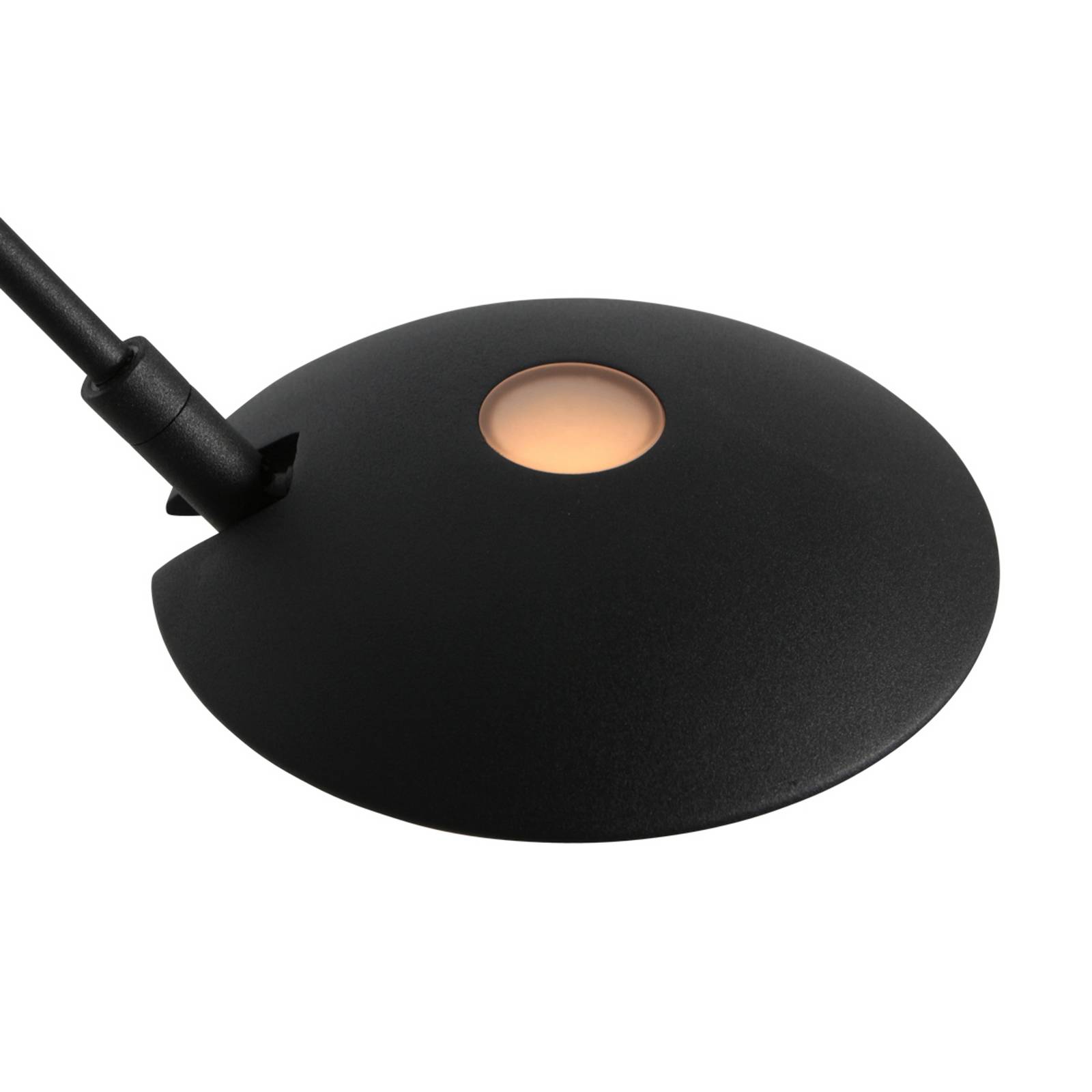 Lampa stojąca LED Daphne 2, 1-punktowa, czarna, CCT, pilot