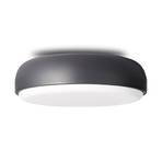 Northern Over Me ceiling light anthracite 50 cm