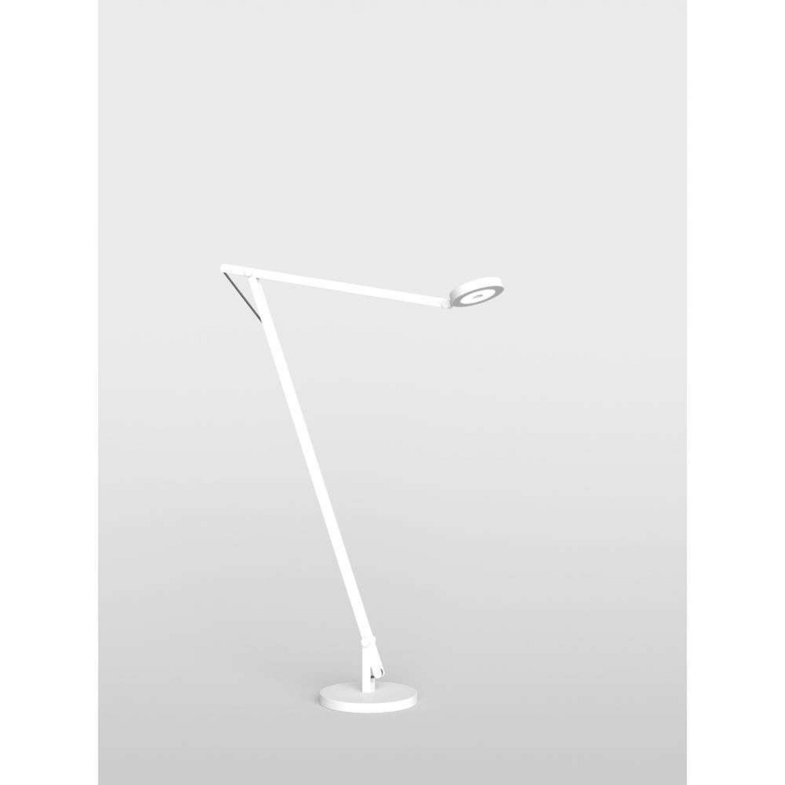 String F1 Floor Lamp DTW Matt White/Black - Rotaliana