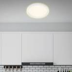 Stropna svetilka LED 7361, Ø 29 cm, bela