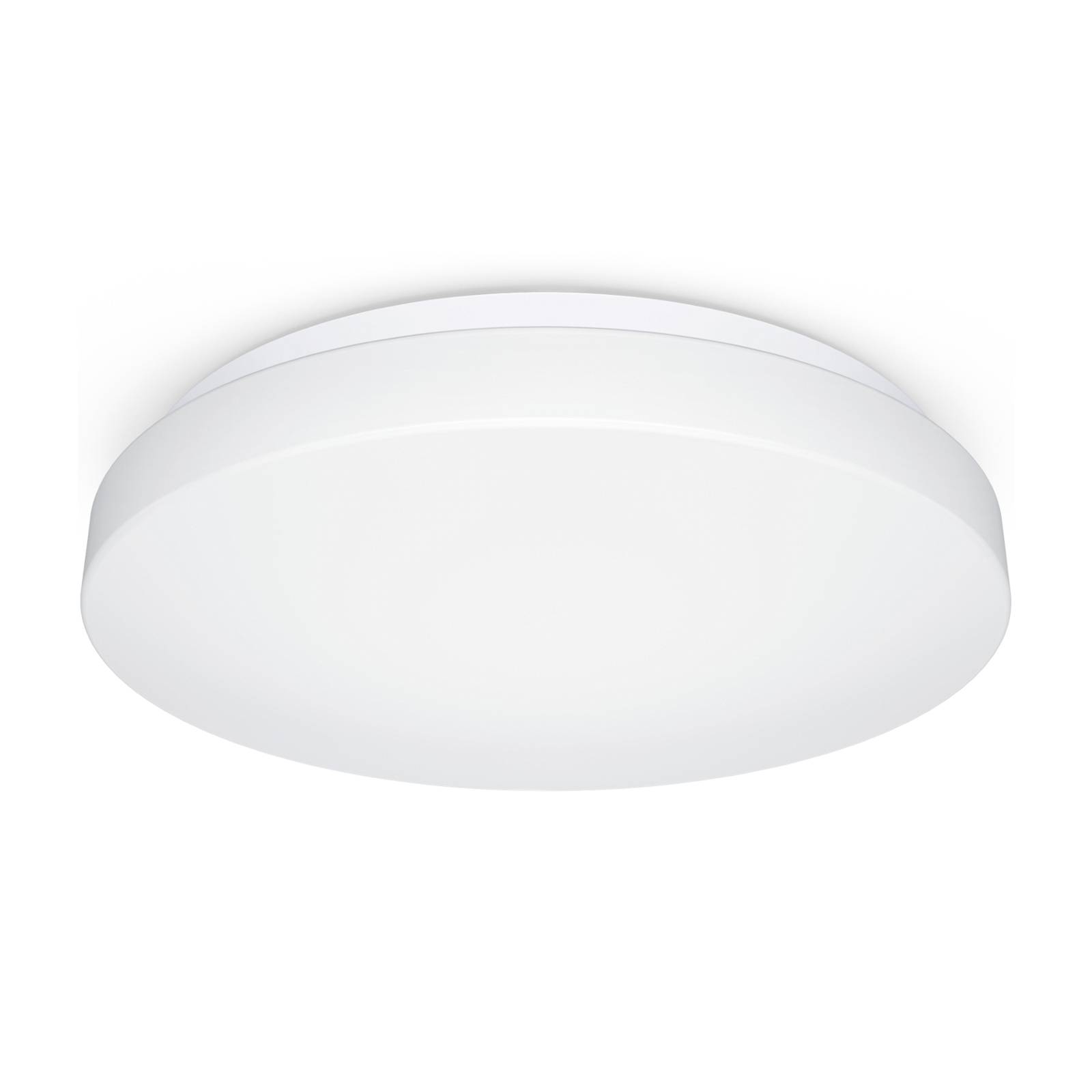 STEINEL RS PRO P2 EM flat S LED Notlicht 3000 K