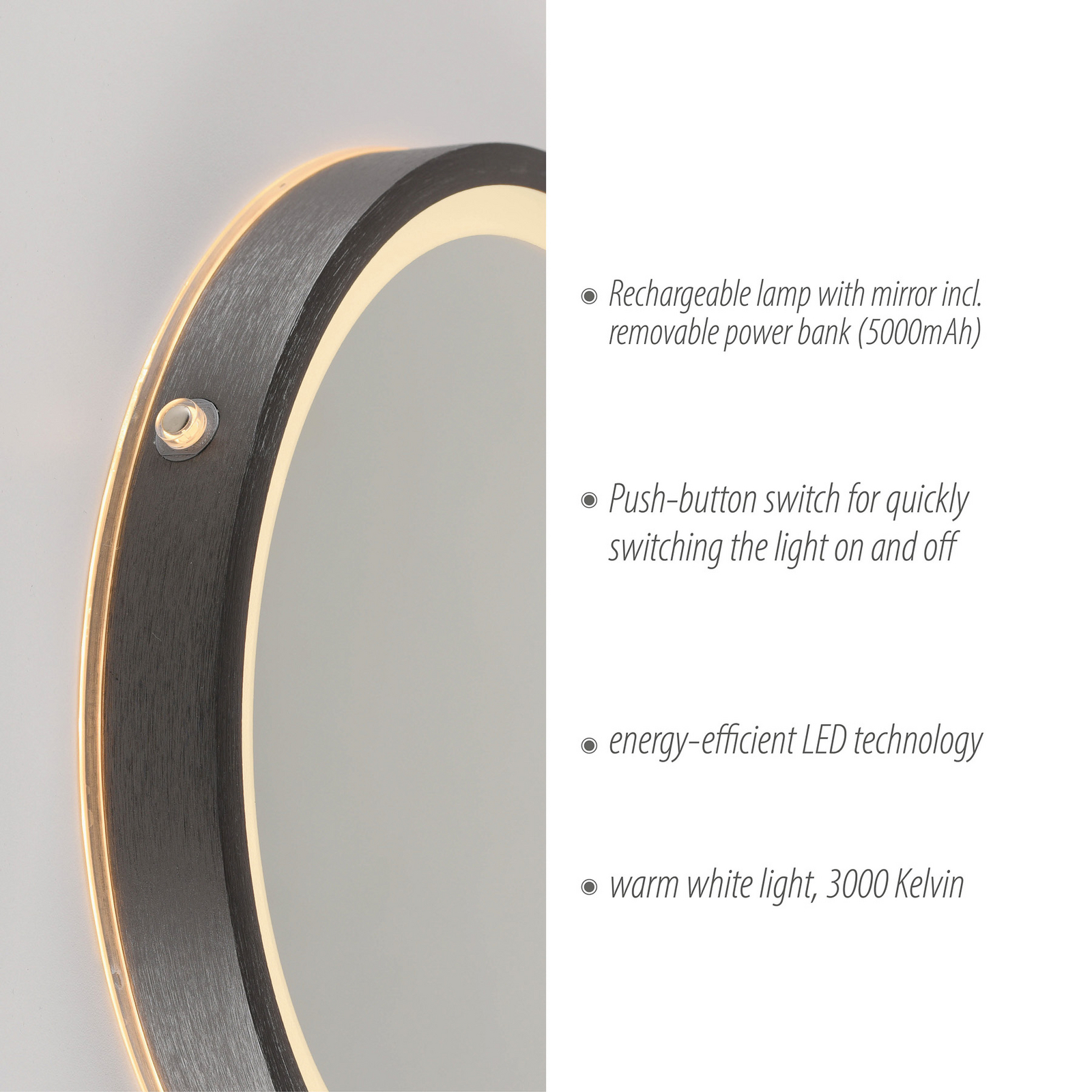 Specchio da parete a LED VIDRO, grigio, Ø 26 cm, powerbank, interruttore