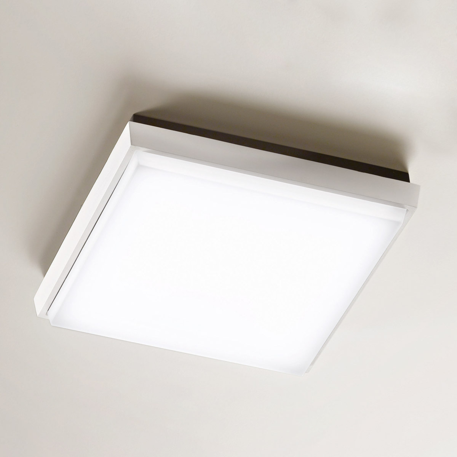 Plafón LED para exterior Desdy, 24x24 cm, blanco