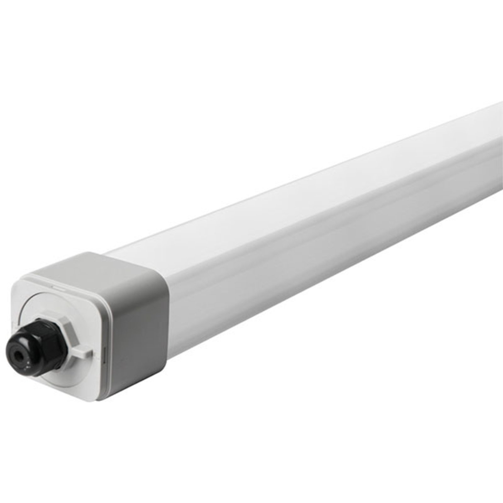 Dino 2 Farm LED-Feuchtraumleuchte 132 cm 36 W