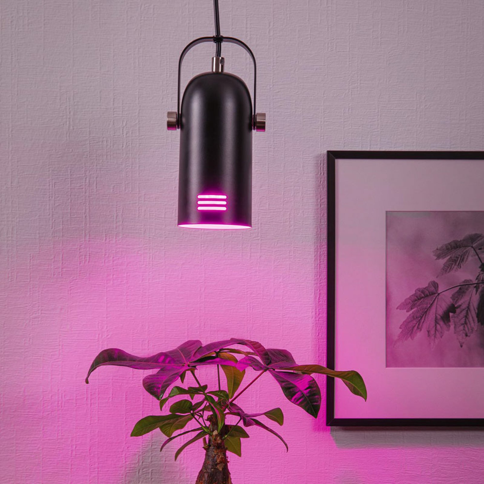 Paulmann Neordic Lavea planten-hanglamp, zwart