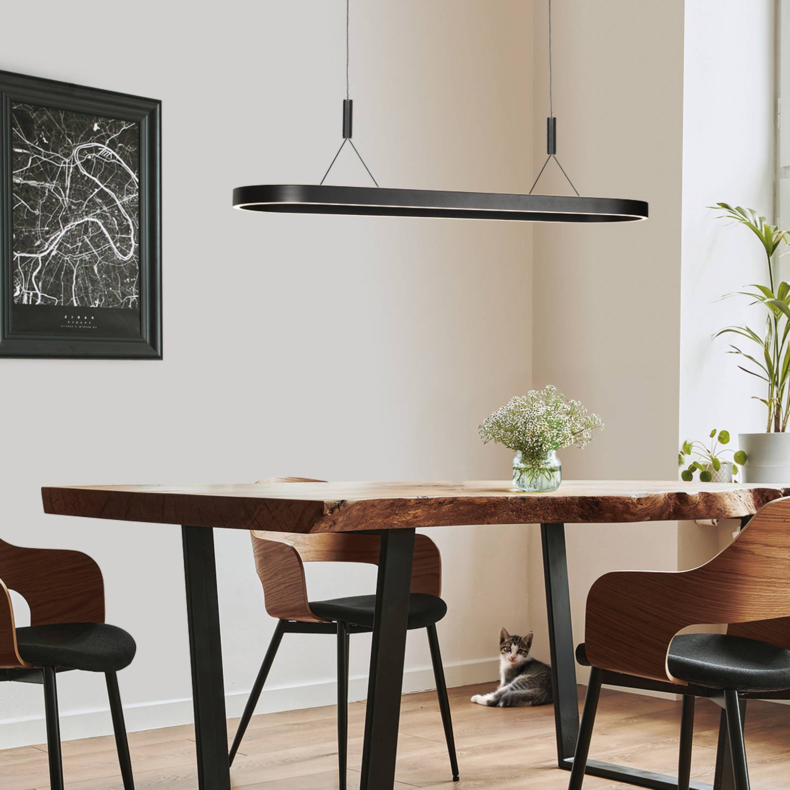 Steinhauer LED hanglamp Mykty, zwart, lengte 120 cm, metaal, 2-lamps.